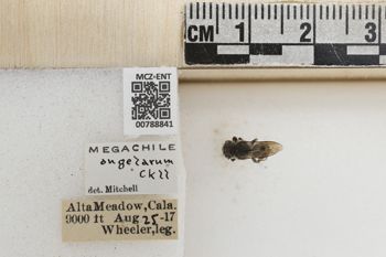 Media type: image;   Entomology 788841 Aspect: Labels